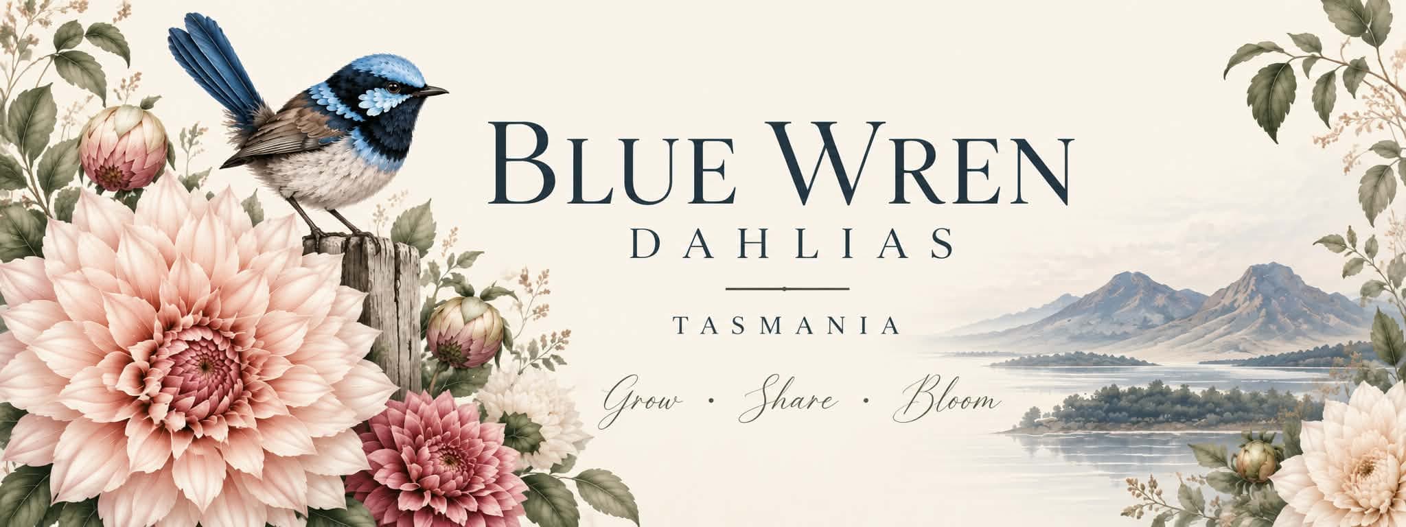 Blue Wren Dahlias banner