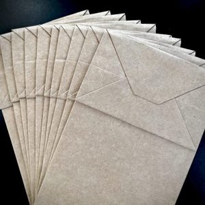 Dahlia packing bags x 10